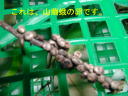 6ページ